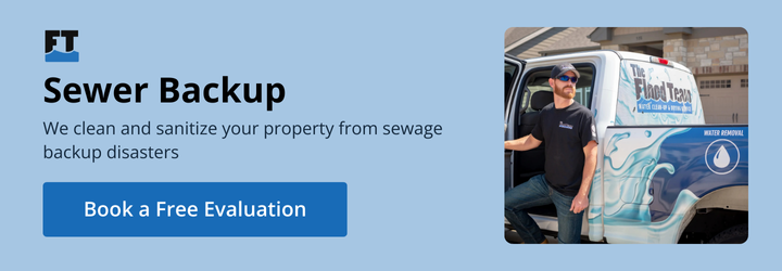 Sewer backup services